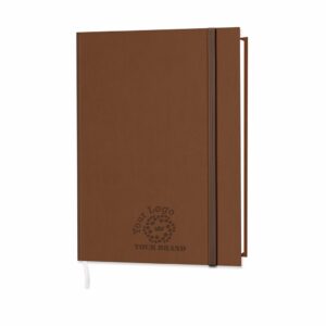 NewHide Quarto Notebook